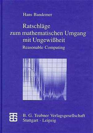 Ratschläge zum mathematischen Umgang mit Ungewißheit: Reasonable Computing de Hans Bandemer