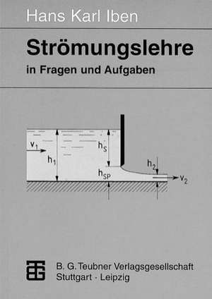 Strömungslehre in Fragen und Aufgaben: Definitionen — Sätze — Grundgleichungen de Hans Karl Iben