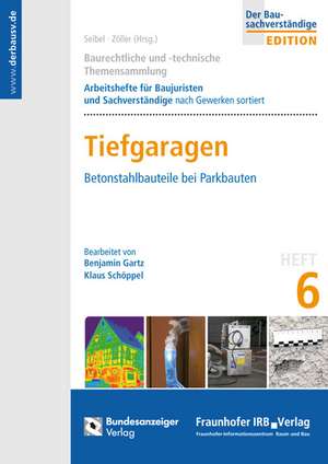 Baurechtliche und -technische Themensammlung. Heft 6: Tiefgaragen und andere Parkbauten de Benjamin Gartz