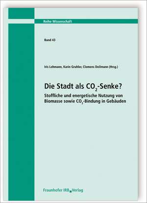 Die Stadt als CO2-Senke? Stoffliche und energetische Nutzung von Biomasse sowie CO2-Bindung in Gebäuden de Iris Lehmann