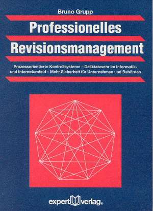 Professionelles Revisionsmanagement de Bruno Grupp