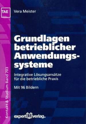 Grundlagen betrieblicher Anwendungssysteme de Vera Meister