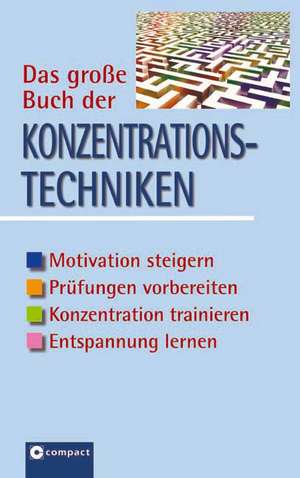 Das große Buch der Konzentrationstechniken de Andrea Solms