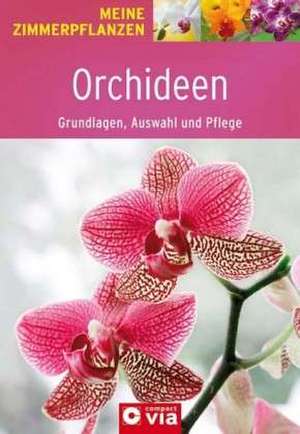 Orchideen - Grundlagen, Auswahl und Pflege de Anja Fislage