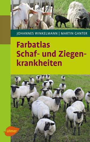 Farbatlas Schaf- und Ziegenkrankheiten de Johannes Winkelmann