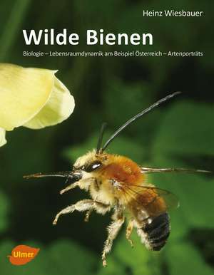 Wilde Bienen de Heinz Wiesbauer