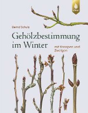 Gehölzbestimmung im Winter de Bernd Schulz