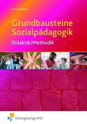 Grundbausteine Sozialpädagogik