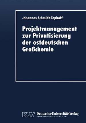 Projektmanagement zur Privatisierung der ostdeutschen Großchemie de Johannes Schmidt-Tophoff