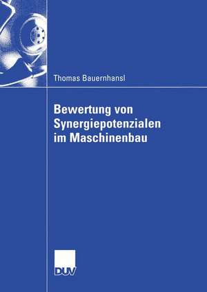 Bewertung von Synergiepotenzialen im Maschinenbau de Thomas Bauernhansl