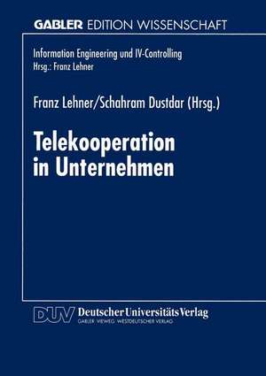 Telekooperation in Unternehmen de Franz Lehner