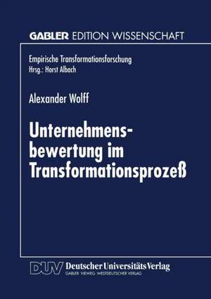 Unternehmensbewertung im Transformationsprozeß de Alexander Wolff