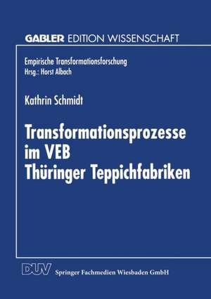 Transformationsprozesse im VEB Thüringer Teppichfabriken de Kathrin Schmidt