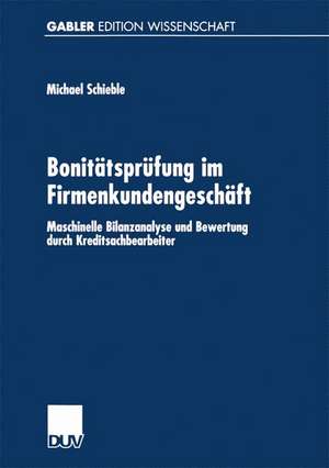 Bonitätsprüfung im Firmenkundengeschäft: Maschinelle Bilanzanalyse und Bewertung durch Kreditsachbearbeiter de Michael Schieble