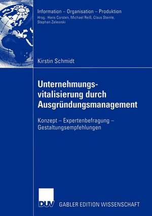 Unternehmungsvitalisierung durch Ausgründungsmanagement: Konzept — Expertenbefragung — Gestaltungsempfehlungen de Kirstin Schmidt