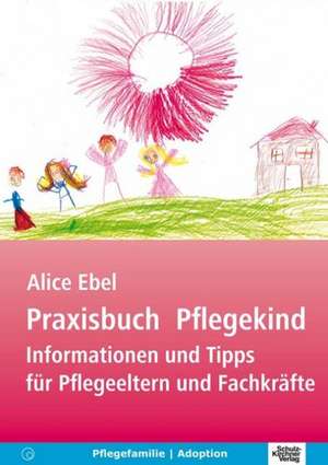 Praxisbuch Pflegekind de Alice Ebel