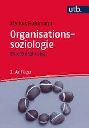 Organisationssoziologie de Markus Pohlmann