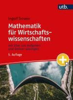 Mathematik für Wirtschaftswissenschaften de Ingolf Terveer