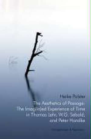 The Aesthetics of Passage: The Imag(in)ed Experience of Time in Thomas Lehr, W.G. Sebald and Peter Handke de Heike Polster