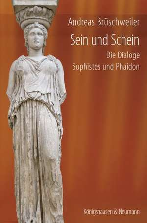 Sein und Schein de Andreas Brüschweiler