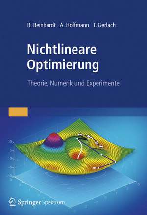 Nichtlineare Optimierung: Theorie, Numerik und Experimente de Rüdiger Reinhardt