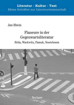 Flaneure in der Gegenwartsliteratur de Jan Rhein