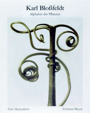 Alphabet der Pflanzen de Karl Blossfeldt