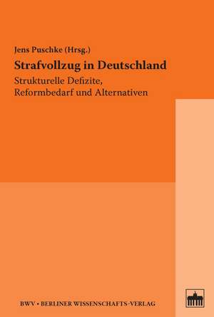 Strafvollzug in Deutschland de Jens Puschke