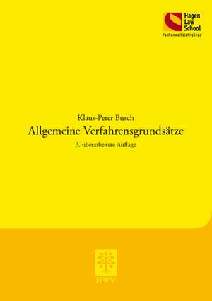 Allgemeine Verfahrengrundsätze de Klaus-Peter Busch