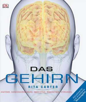 Das Gehirn de Rita Carter
