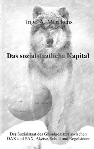 Das sozialstaatliche Kapital de Ingo A. Merckens