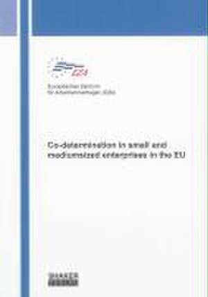 Co-determination in small and mediumsized enterprises in the EU de Europäisches Zentrum für Arbeitnehmerfragen (EZA)