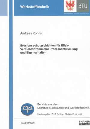 Erosionsschutzschichten für Blisk-Verdichtertrommeln: Prozessentwicklung und Eigenschaften de Andreas Kohns