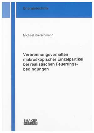 Verbrennungsverhalten makroskopischer Einzelpartikel bei realistischen Feuerungsbedingungen de Michael Kretschmann