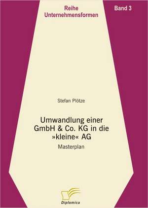 Umwandlung Einer Gmbh & Co. Kg in Eine "Kleine" AG: The Sea de Stefan Plötze