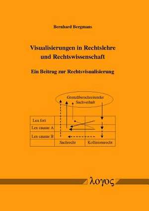 Visualisierungen in Rechtslehre Und Rechtswissenschaft