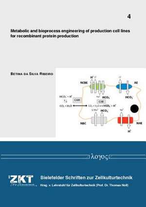 Metabolic and Bioprocess Engineering of Production Cell Lines for Recombinant Protein Production