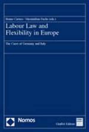 Labour Law and Flexibility in Europe de Bruno Caruso