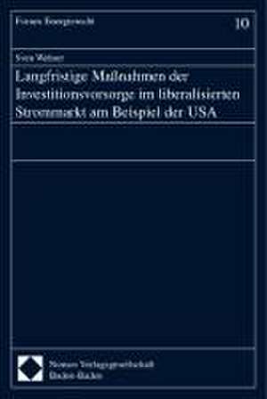 Langfristige Maßnahmen der Investitionsvorsorge im liberalisierten Strommarkt am Beispiel der USA