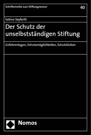 Der Schutz Der Unselbststandigen Stiftung: Gefahrenlagen, Schutzmoglichkeiten, Schutzlucken de Sabine Seyfarth