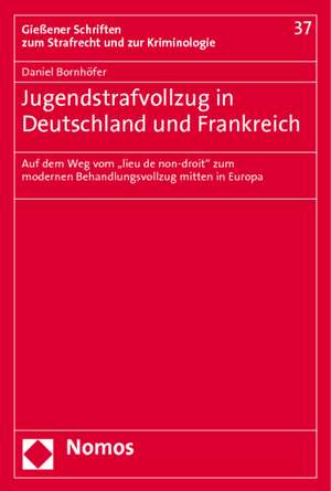 Jugendstrafvollzug in Deutschland und Frankreich de Daniel Bornhöfer