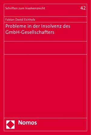 Probleme in der Insolvenz des GmbH-Gesellschafters de Fabian David Eichholz