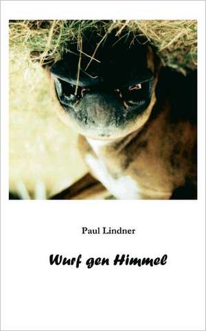 Wurf gen Himmel de Paul Lindner