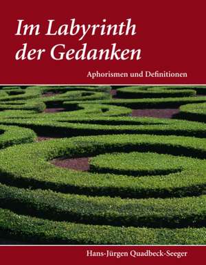 Im Labyrinth der Gedanken de Hans-Jürgen Quadbeck-Seeger