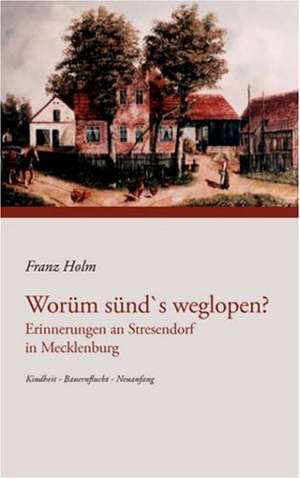Worüm sünd's weglopen de Franz Holm