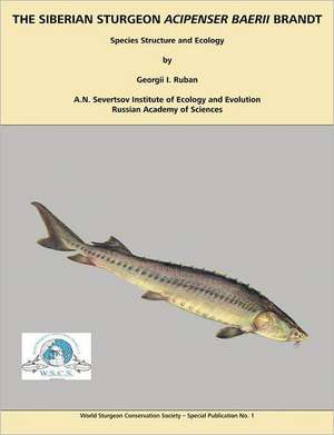 Siberian Sturgeon Acipenser Baerii Brandt de Georgii I. Ruban