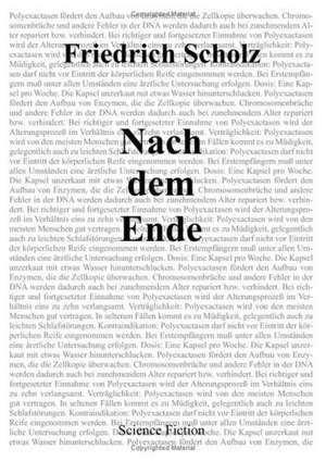 Nach dem Ende de Friedrich Scholz