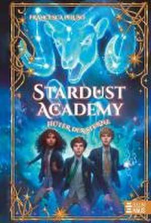 Stardust Academy - Hüter der Sterne de Francesca Peluso