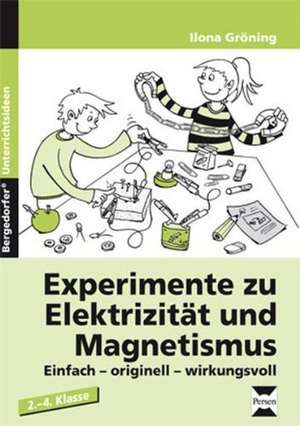 Experimente zu Elektrizität und Magnetismus de Ilona Gröning