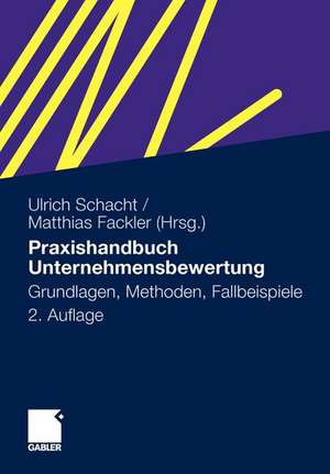 Praxishandbuch Unternehmensbewertung: Grundlagen, Methoden, Fallbeispiele de Ulrich Schacht